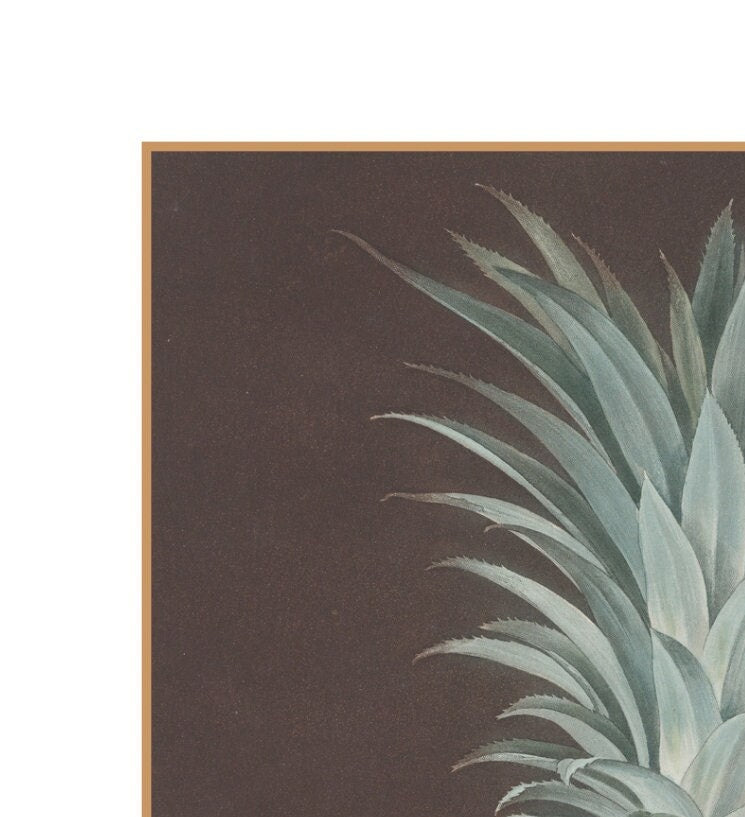 George Brookshaw Pineapple Print: Vintage Botanical Wall Art