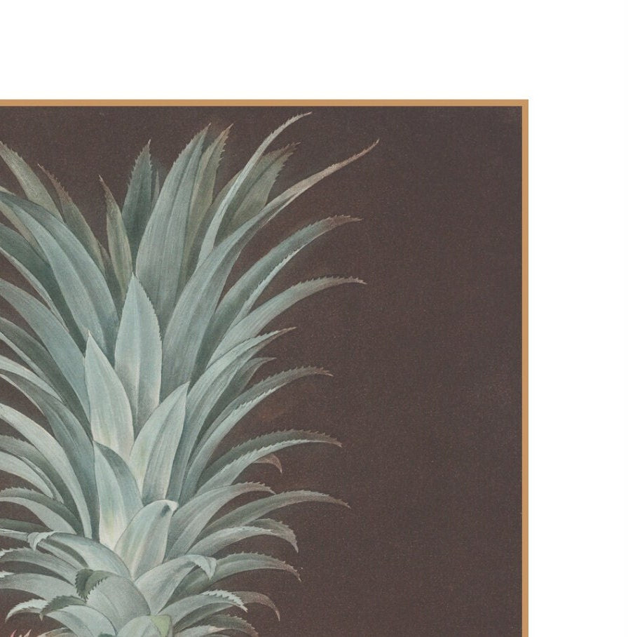 George Brookshaw Pineapple Print: Vintage Botanical Wall Art