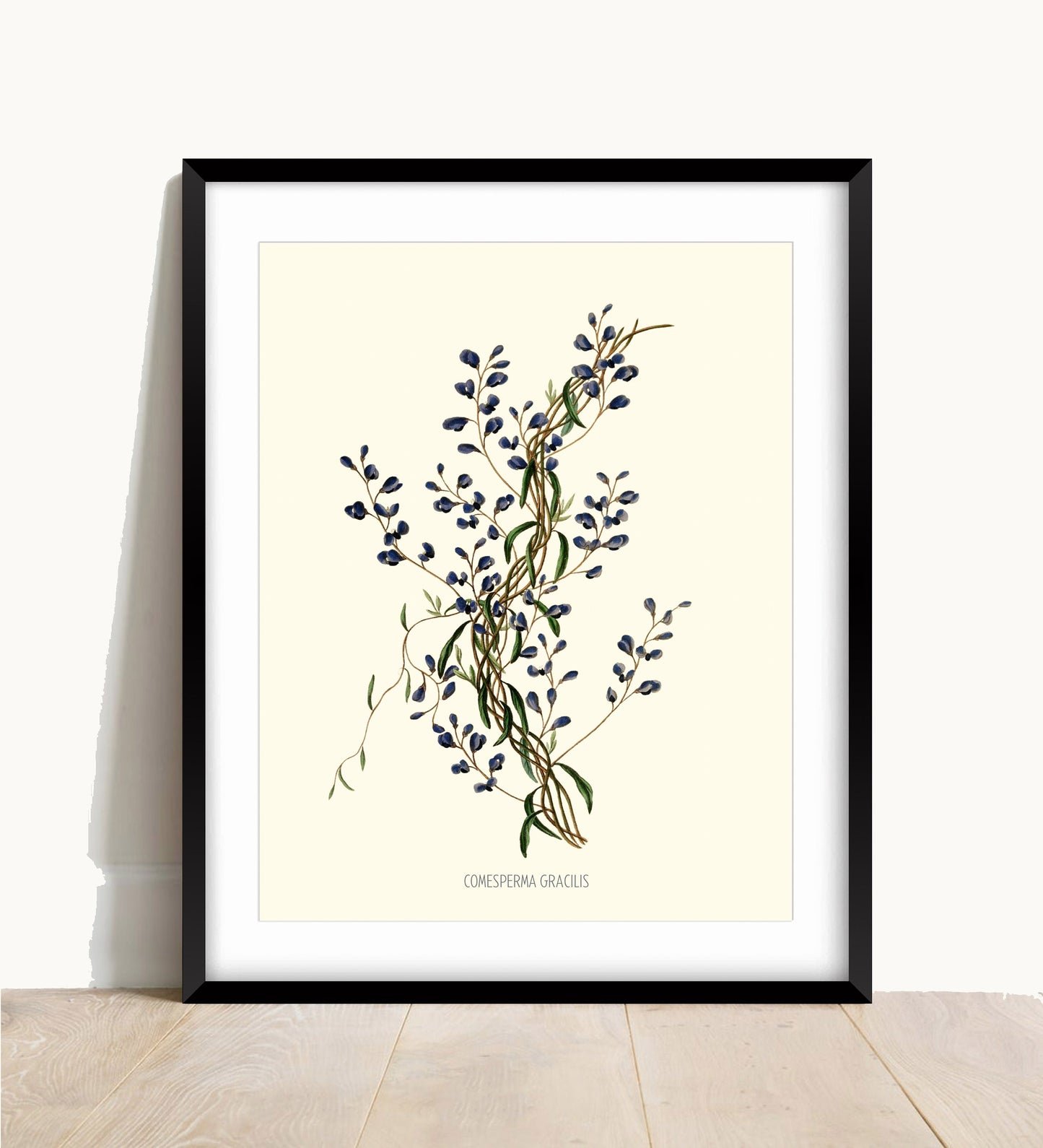 Joseph Paxton Botanical Print: Blue Floral Wall Art