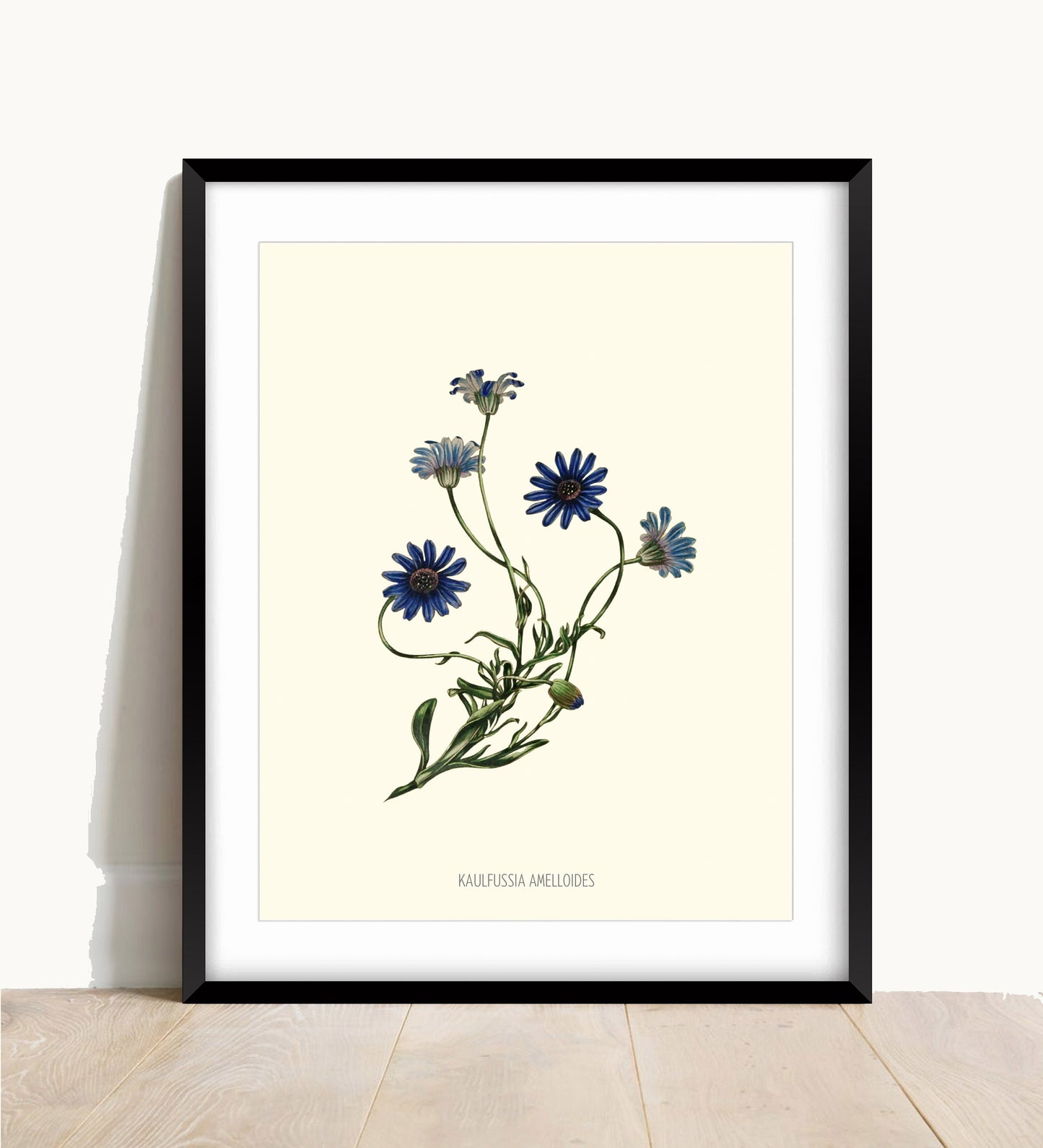 Joseph Paxton Botanical Prints