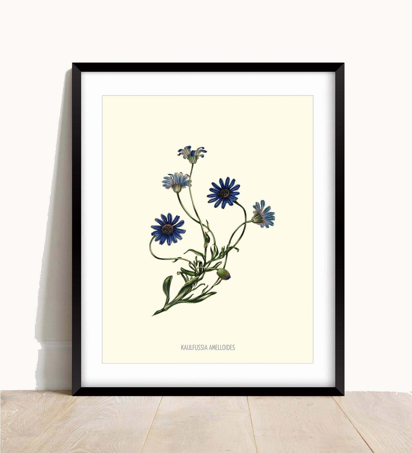 Joseph Paxton Botanical Print: Blue Flower Wall Art (A4/A3)