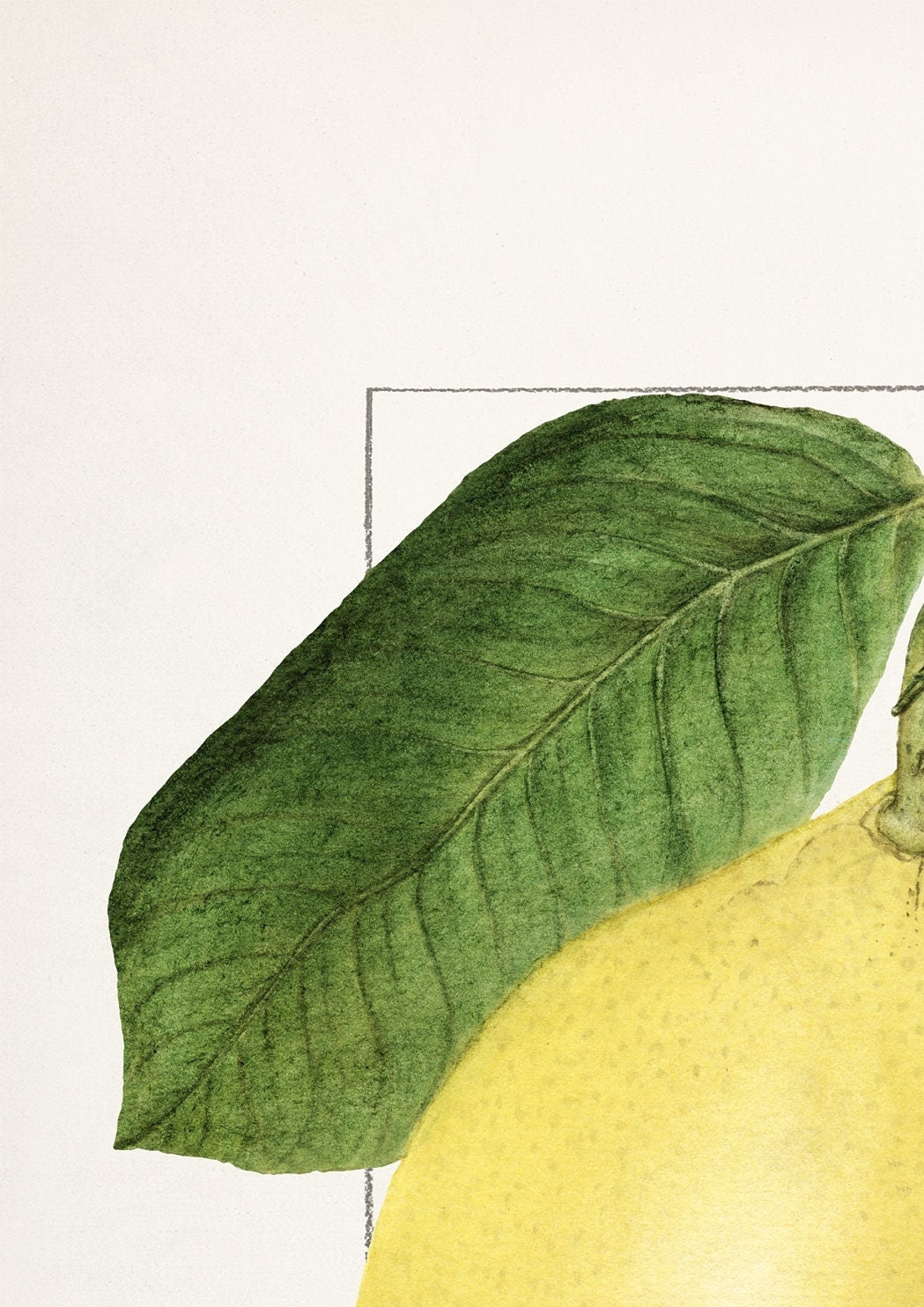 Vintage Lemon Print: A A Newton, Kitchen Wall Art