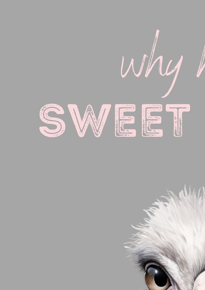 Funny Ostrich Bathroom Print: Hello Sweet Cheeks Wall Art