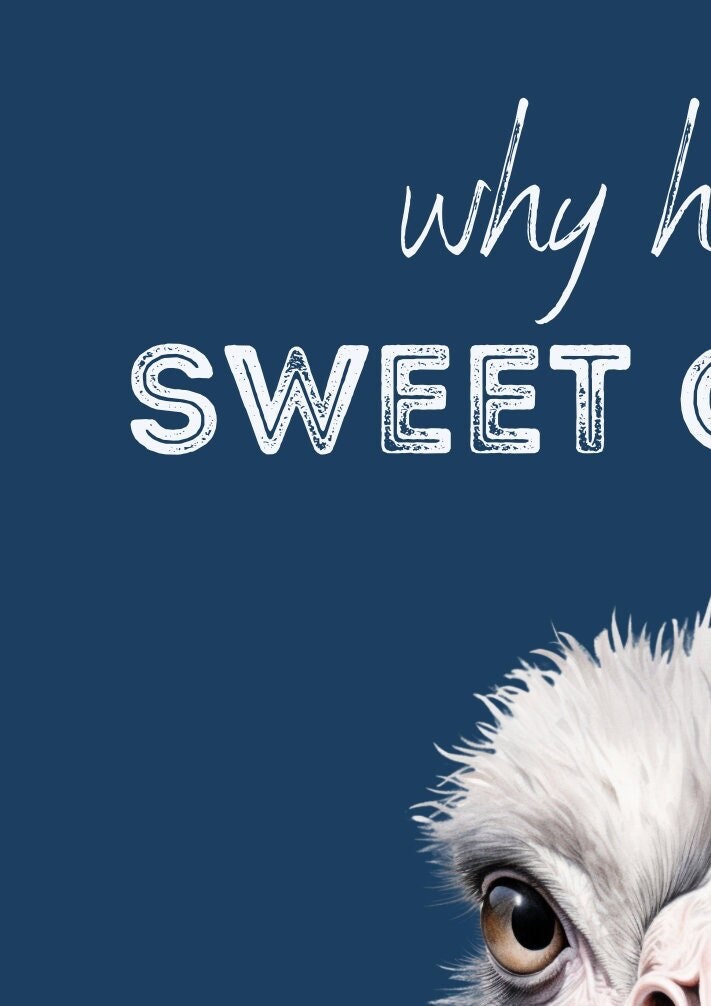 Funny Ostrich Bathroom Print: Hello Sweet Cheeks, Take a Seat