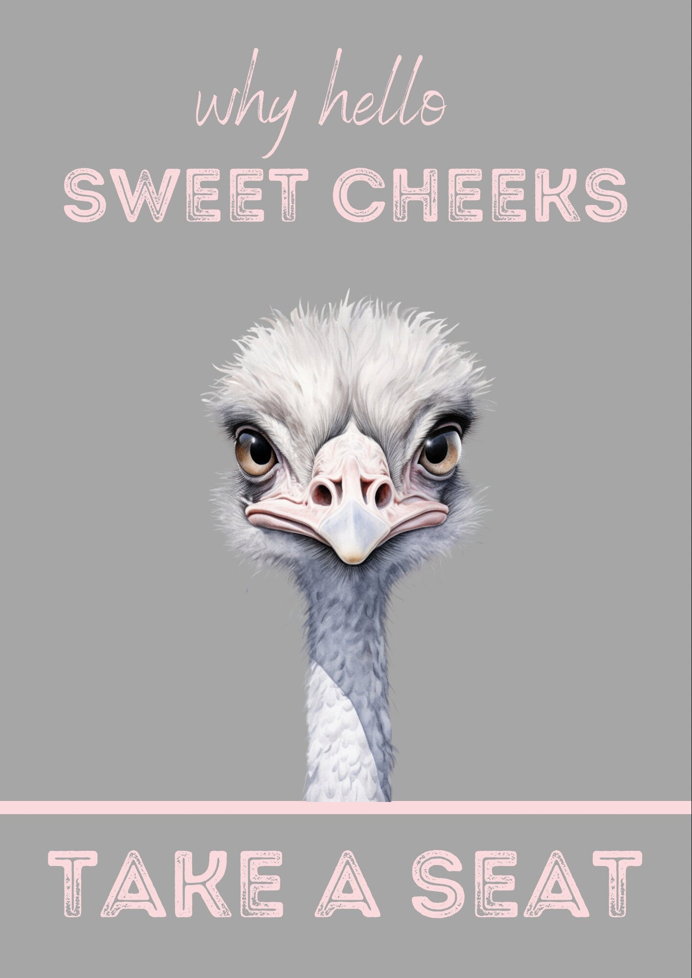 Funny Ostrich Bathroom Print: Hello Sweet Cheeks Wall Art