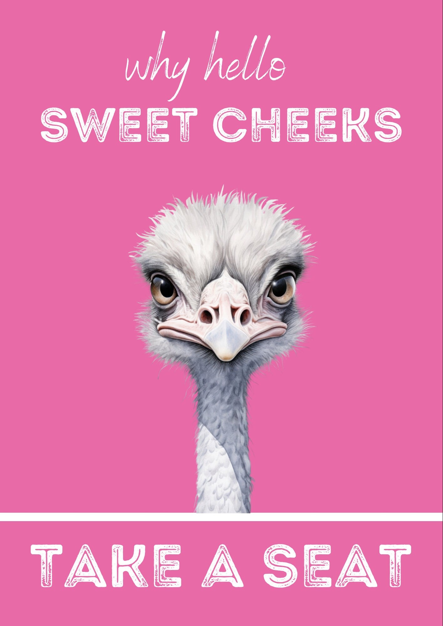 Funny Ostrich Bathroom Print: Hello Sweet Cheeks, Toilet Wall Art