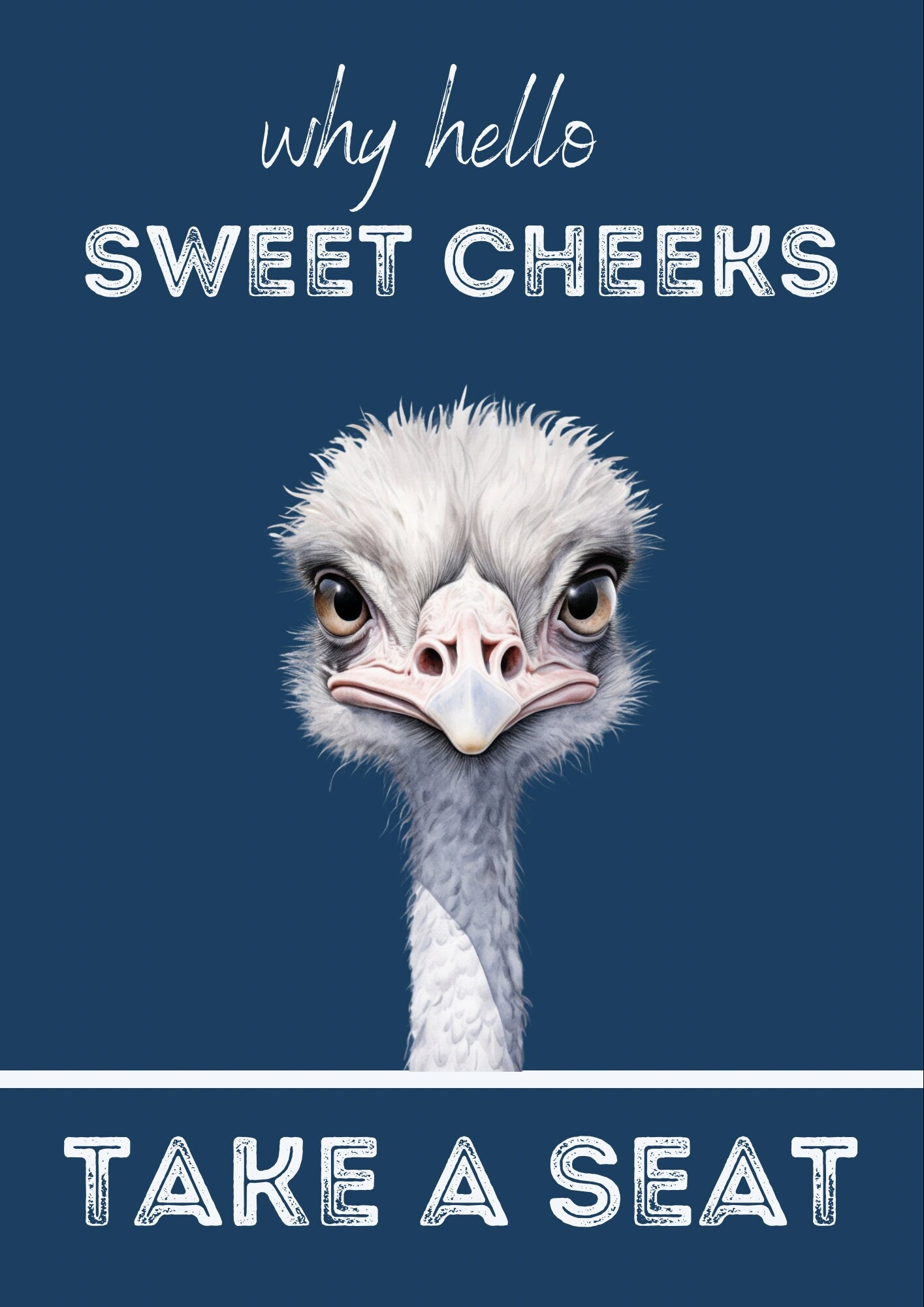 Funny Ostrich Bathroom Print: Hello Sweet Cheeks, Take a Seat