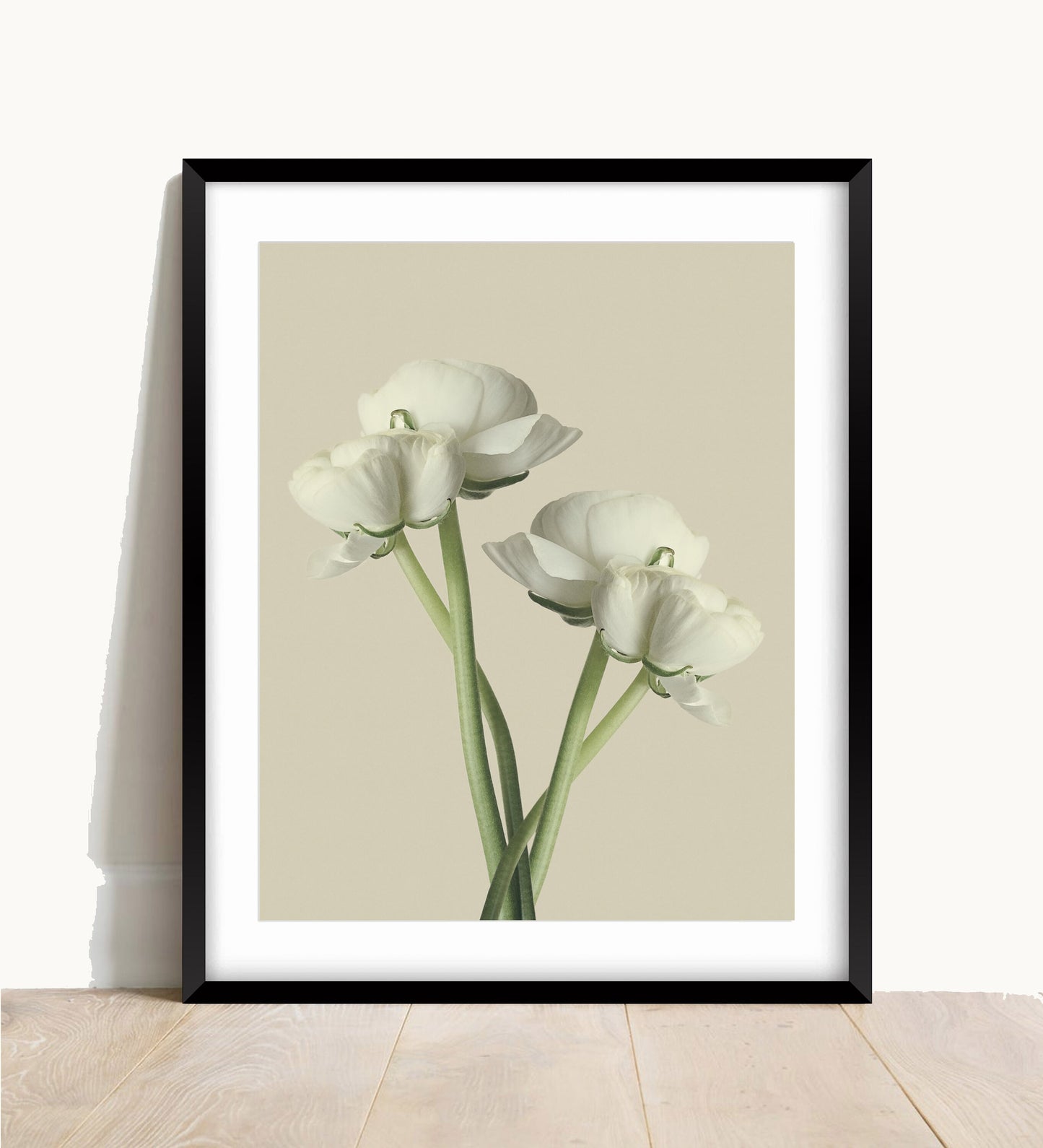 White Ranunculus Flower Print: Minimalist Floral Wall Art