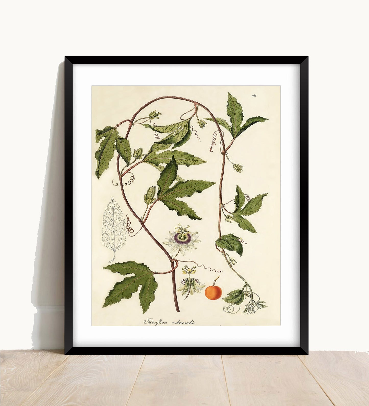 Vintage Passionflower Print: Botanical Flower Market Art