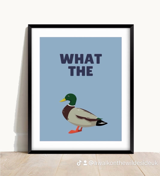 What the Duck Wall Print