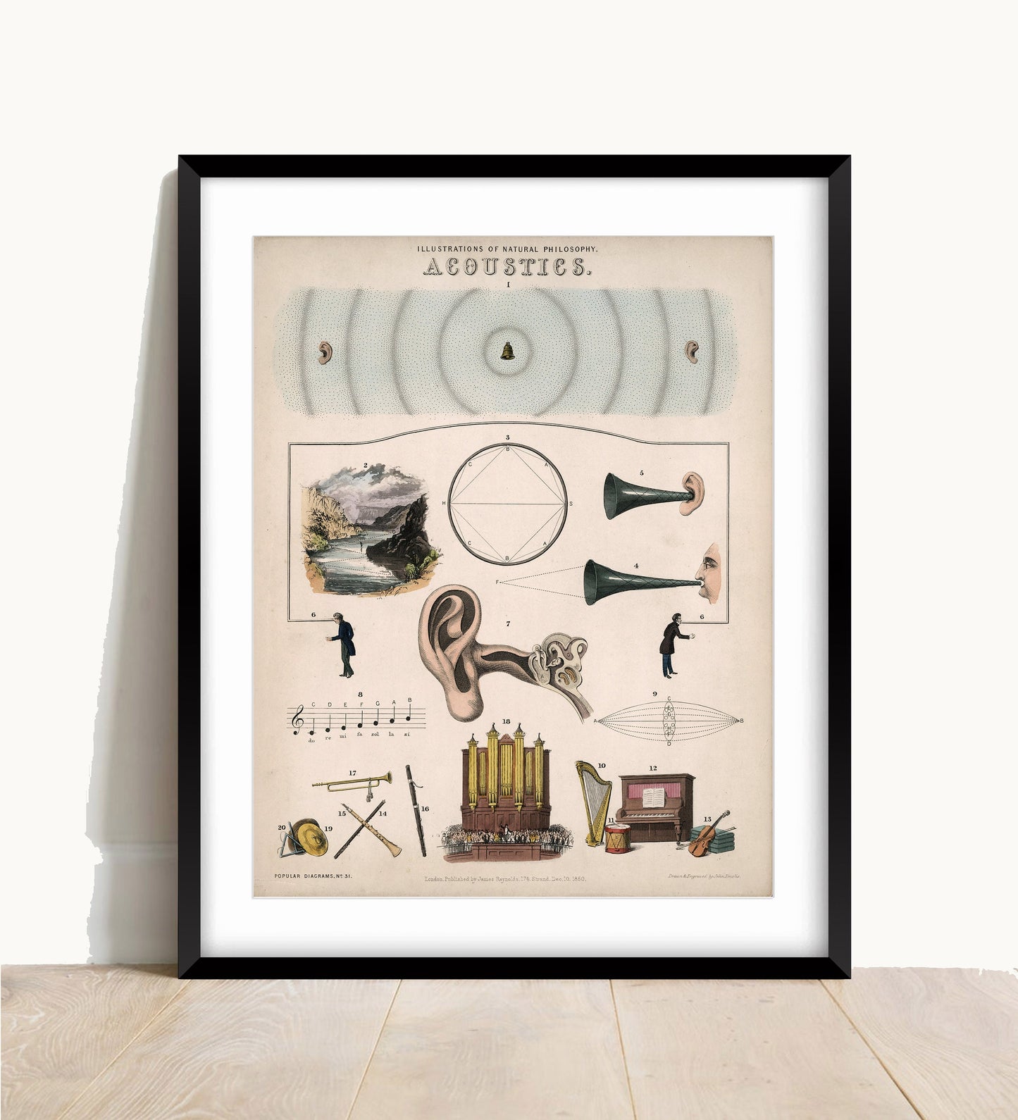 Acoustics Vintage Illustration by John Emslie: Musical Instrument Print