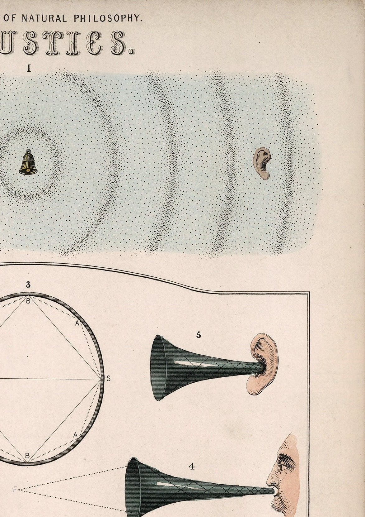 Acoustics Vintage Illustration by John Emslie: Musical Instrument Print