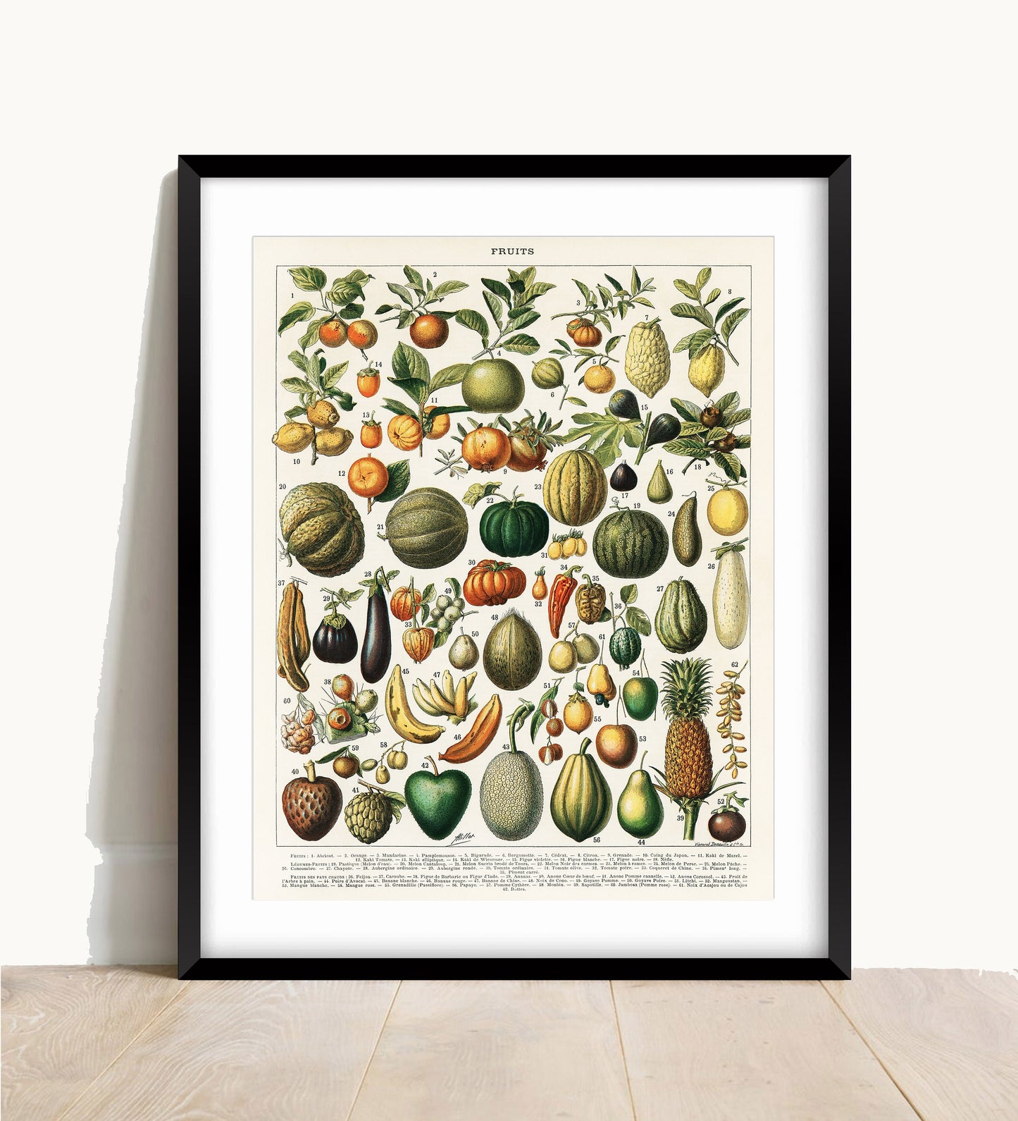 Vintage Fruit Print