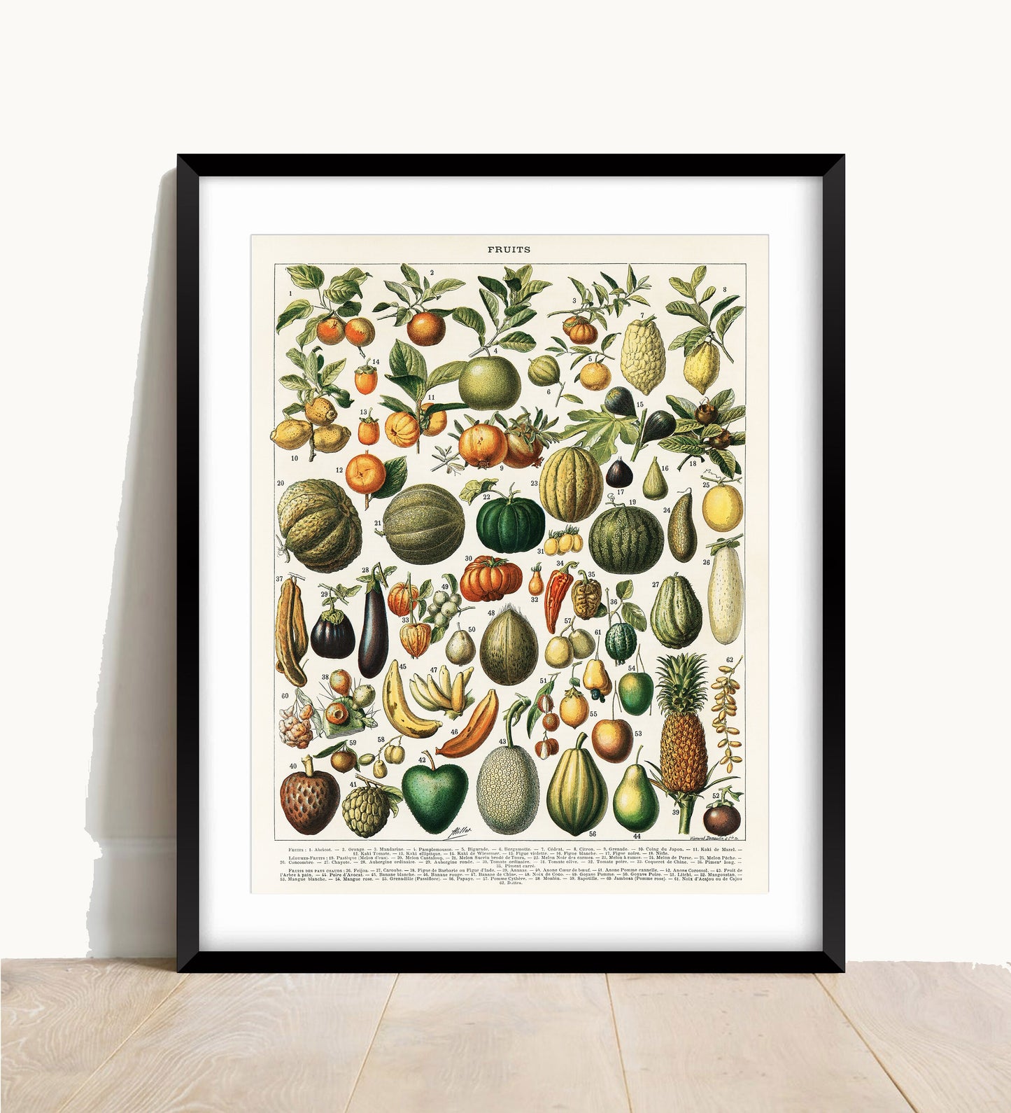 Vintage Fruit Botanical Print: Kitchen Wall Art (A4/A3/A2/A1)