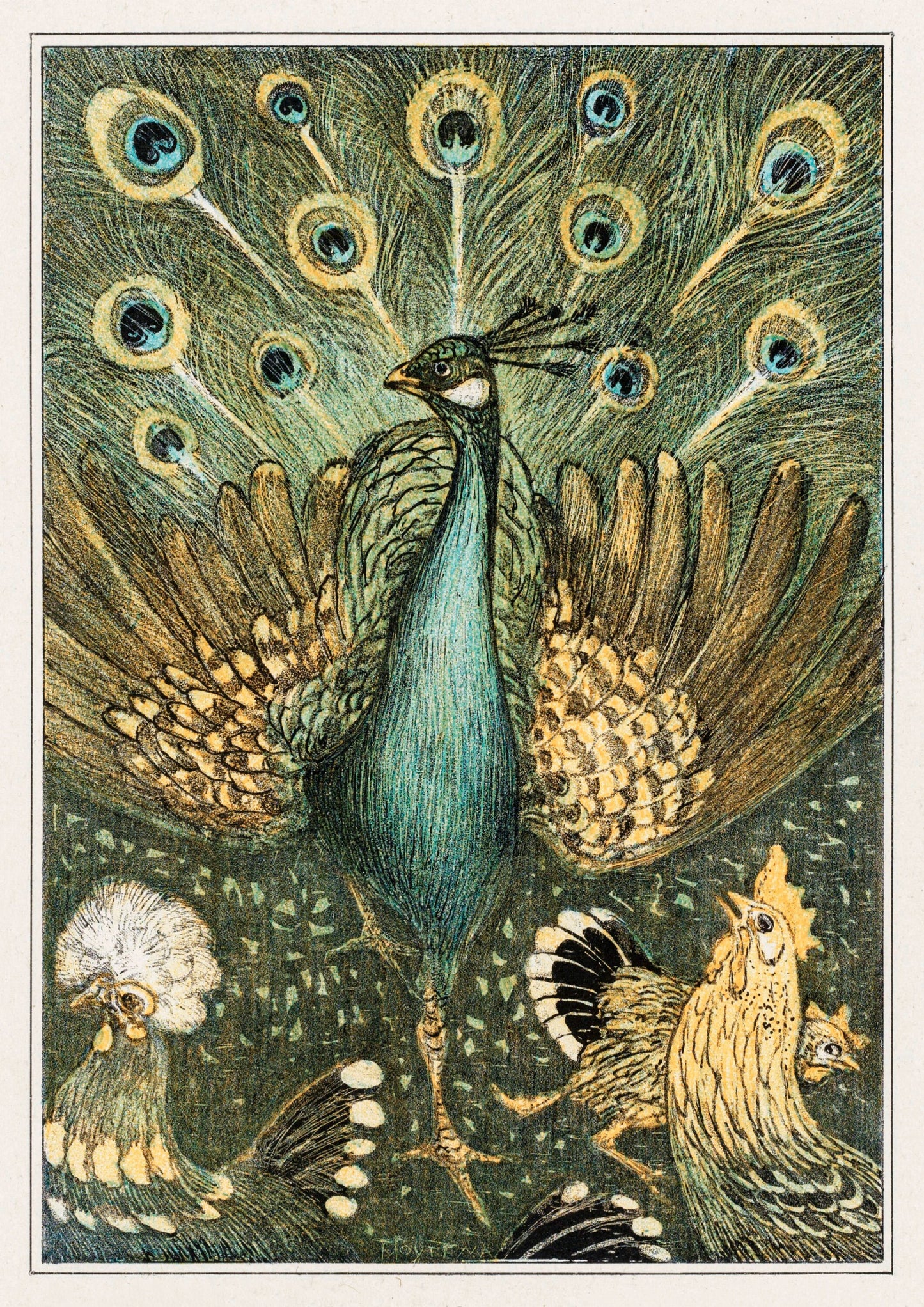 Vintage Peacock Print: Victorian Bird Illustration Wall Art