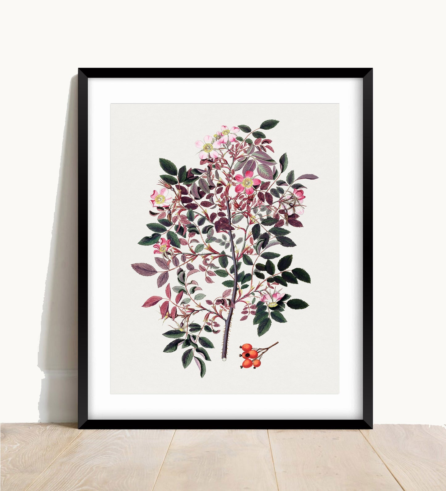 Pretty Wild Rose Print