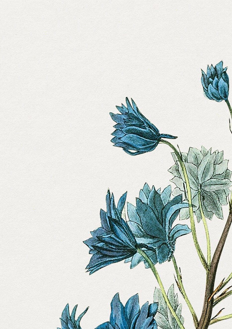 Vintage Blue Flower Print: Botanical Wall Art