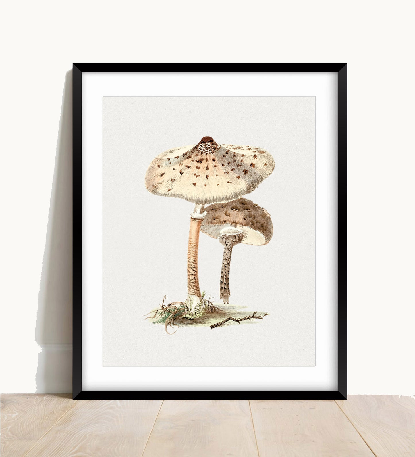 Vintage Mushroom Print: Fungi Botanical Wall Art