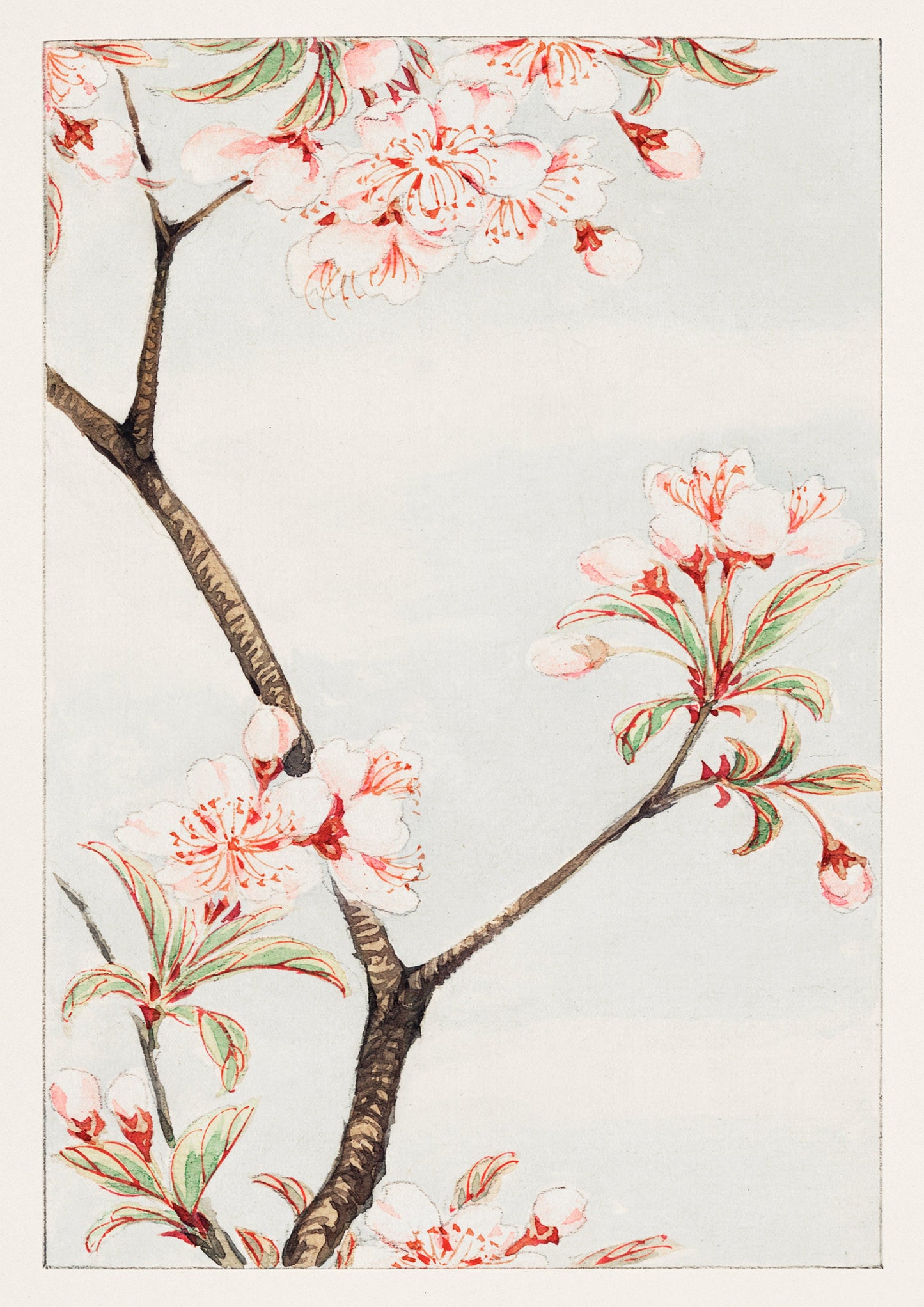 Japanese Woodblock Print: Plum Branches, Oriental Vintage Art