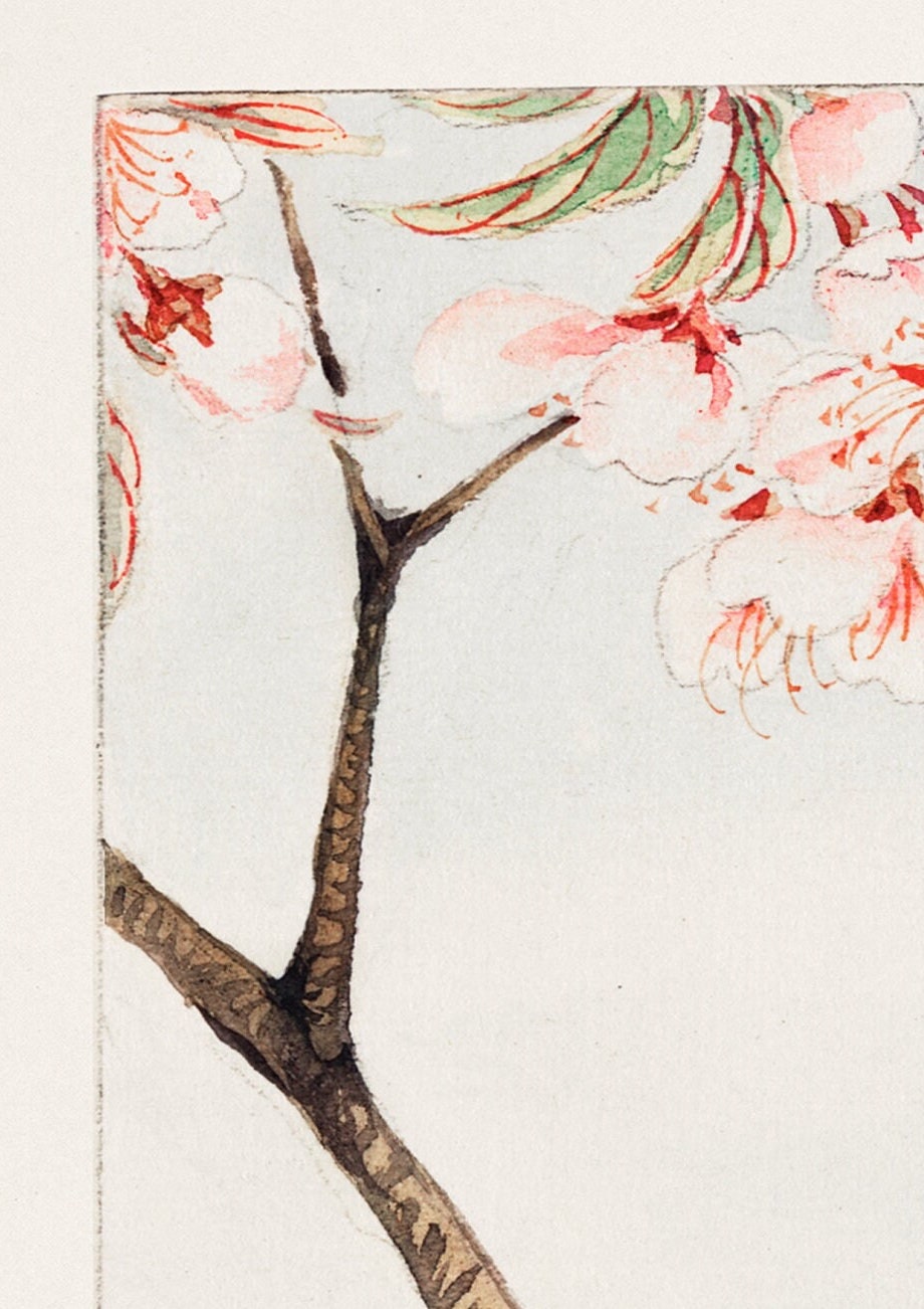 Japanese Woodblock Print: Plum Branches, Oriental Vintage Art