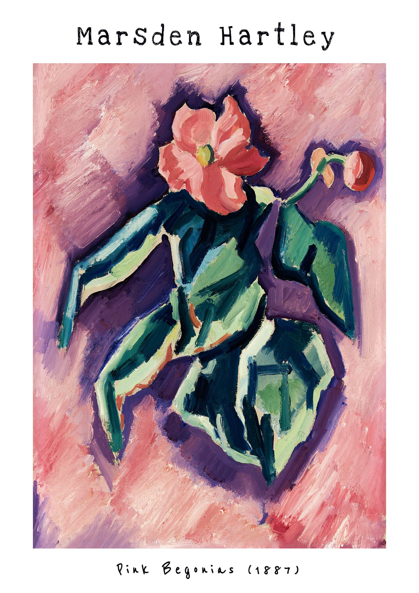 Marsden Hartley Pink Begonias Print: Abstract Bedroom Wall Art