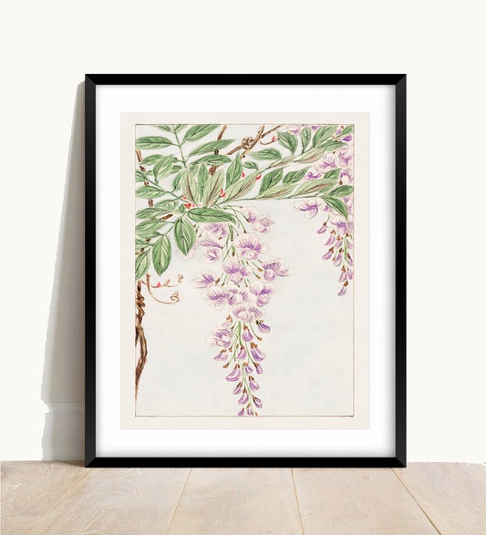 Megata Morikaga, Wisteria Print