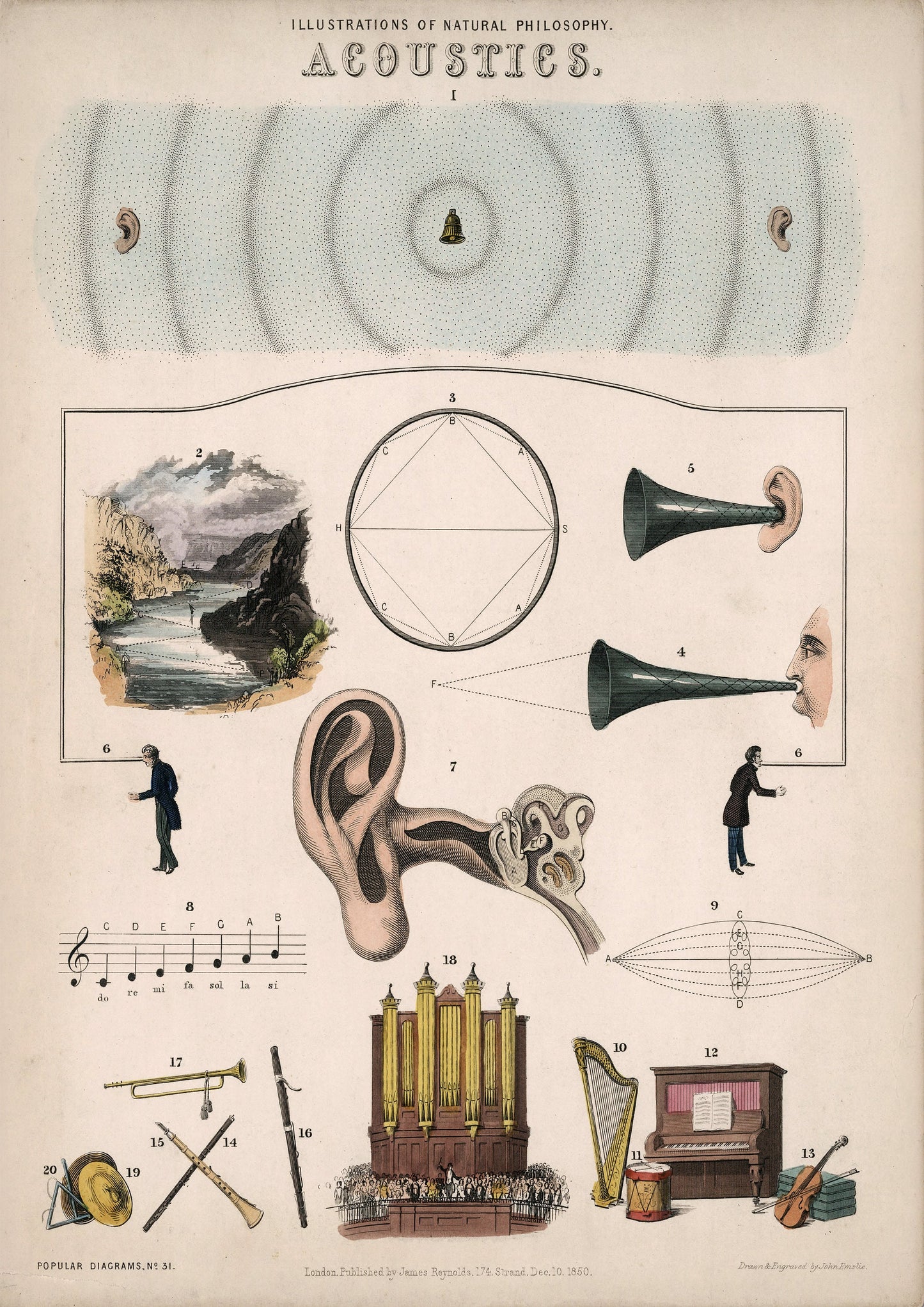 Acoustics Vintage Illustration by John Emslie: Musical Instrument Print