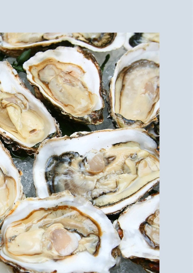 Oyster Kitchen Wall Print: Foodie Gift (A4/A3)