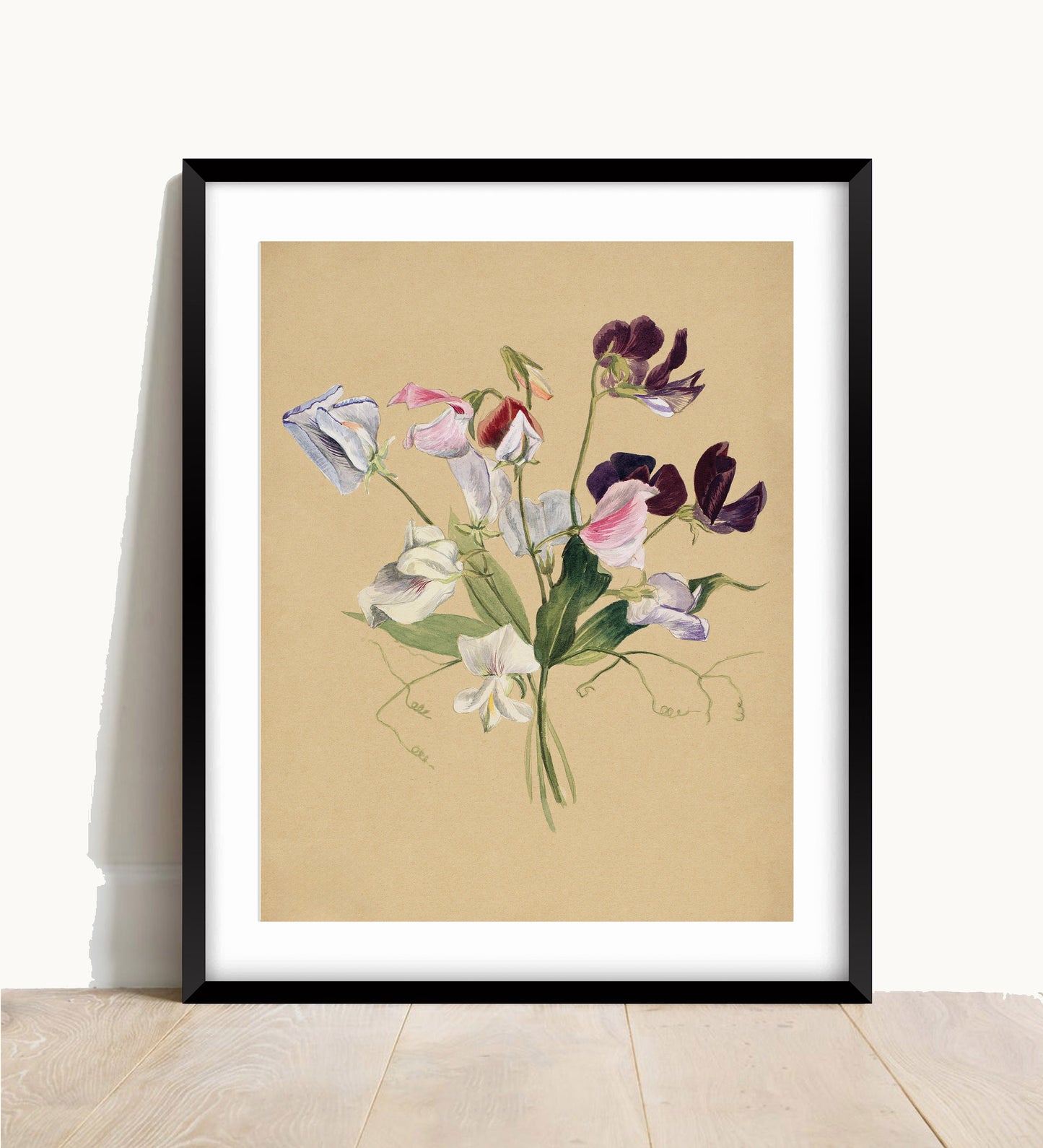 Sweet Pea Flower Print: Vintage Floral Wall Art