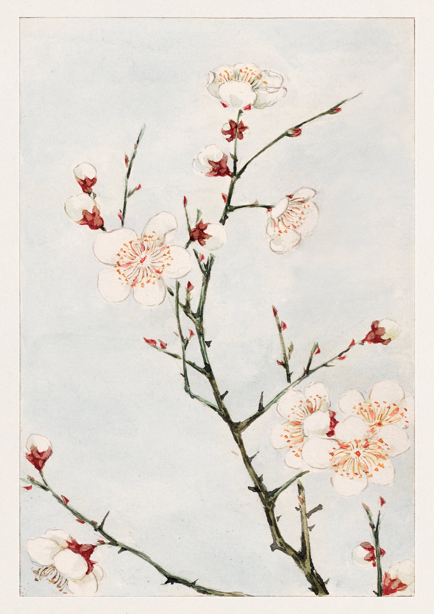 Japanese Woodblock Print: Plum Branches Oriental Art (A4/A3/A2/A1)