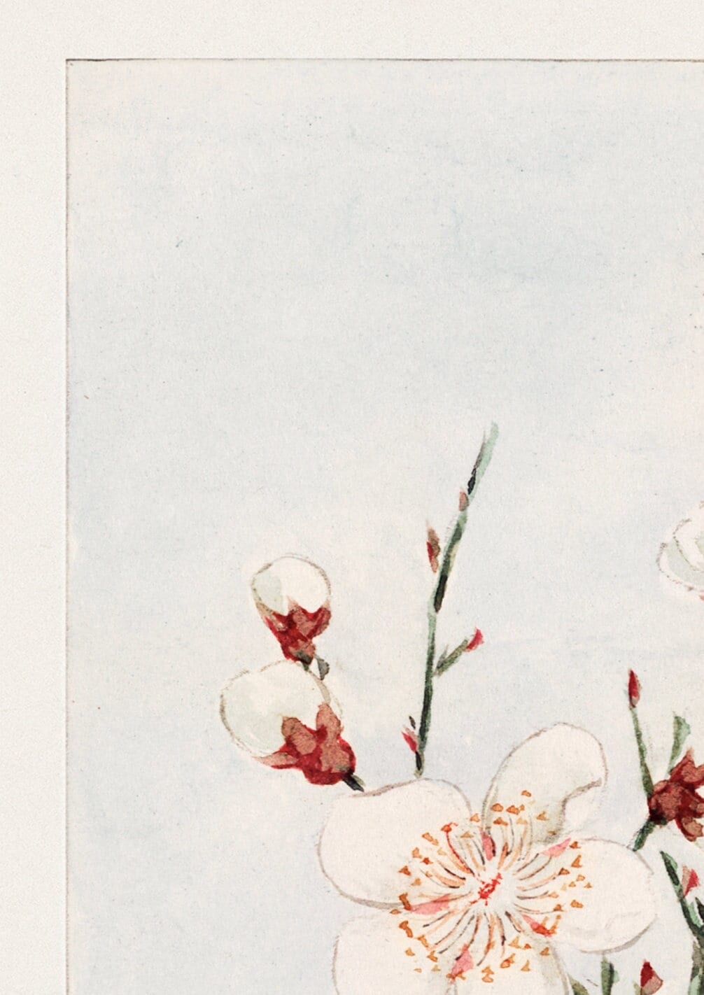 Japanese Woodblock Print: Plum Branches Oriental Art (A4/A3/A2/A1)
