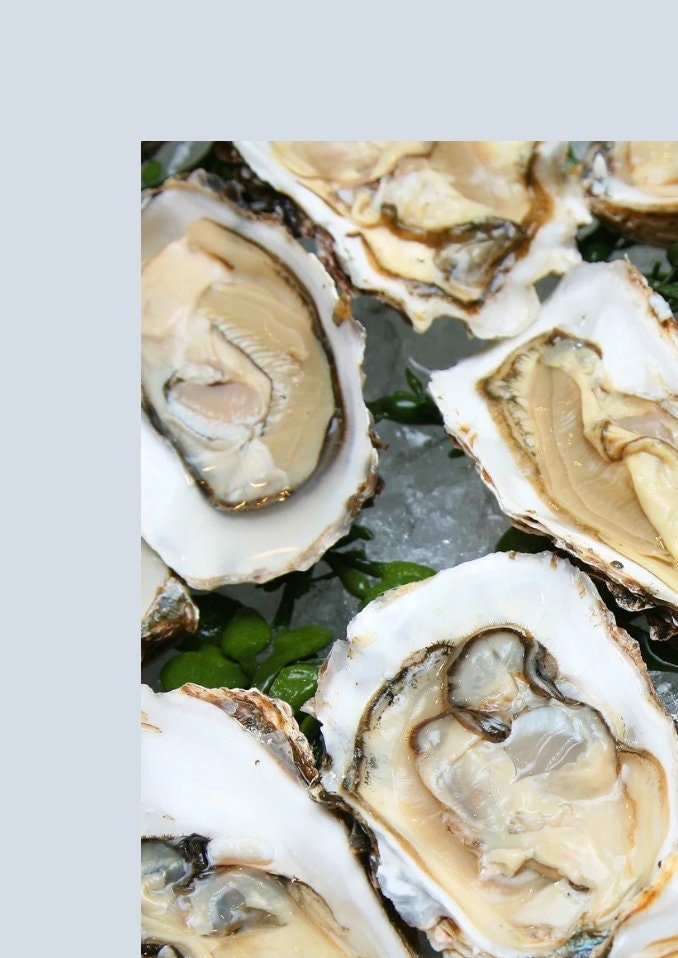 Oyster Kitchen Wall Print: Foodie Gift (A4/A3)