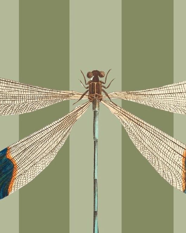 Dragonfly Art Print: Pearlescent Insect Poster