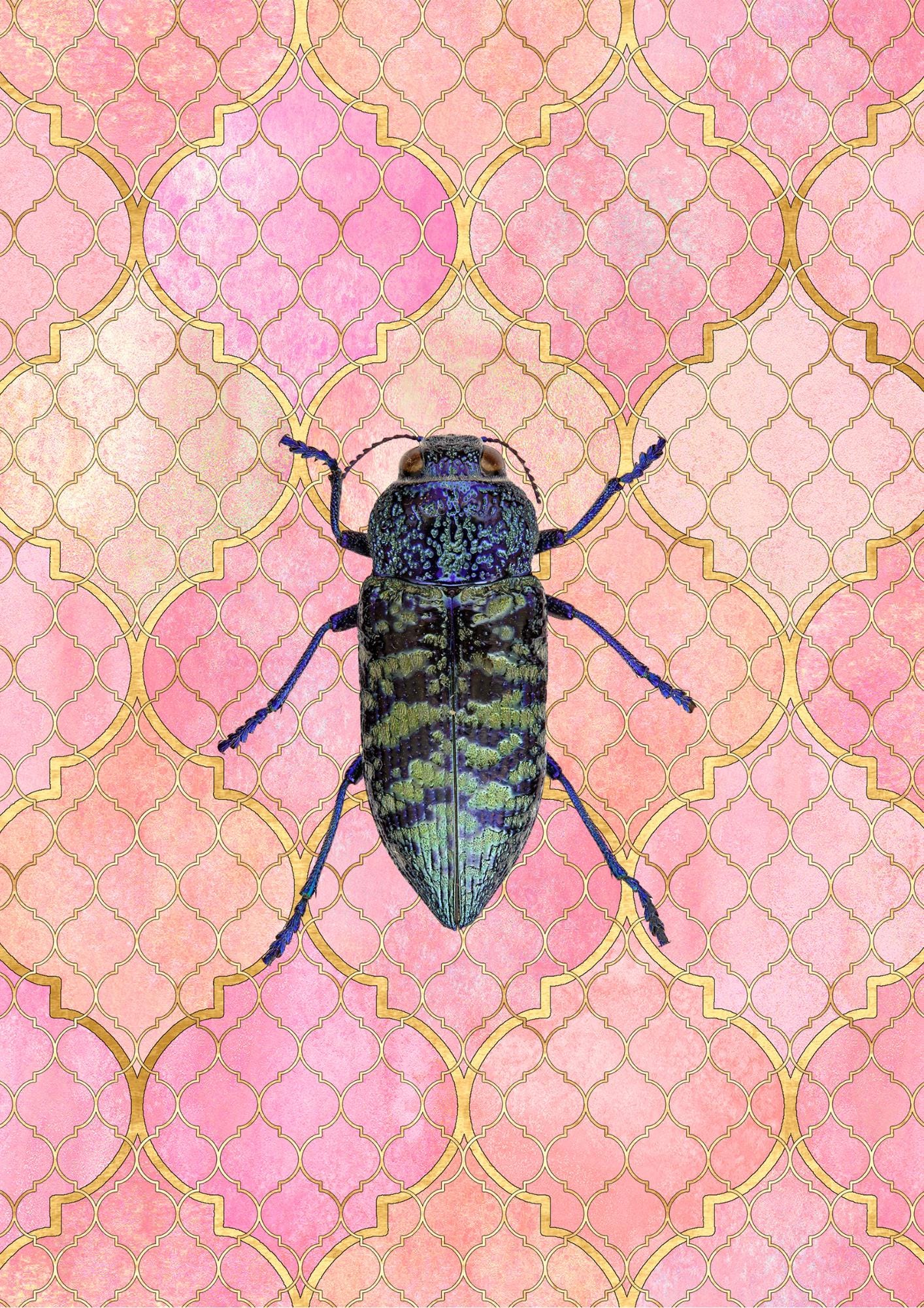 Dragonfly Art Print: Insect Poster, Pink Gallery Wall Art