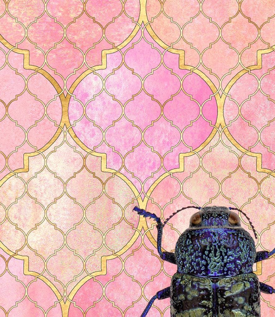 Dragonfly Art Print: Insect Poster, Pink Gallery Wall Art