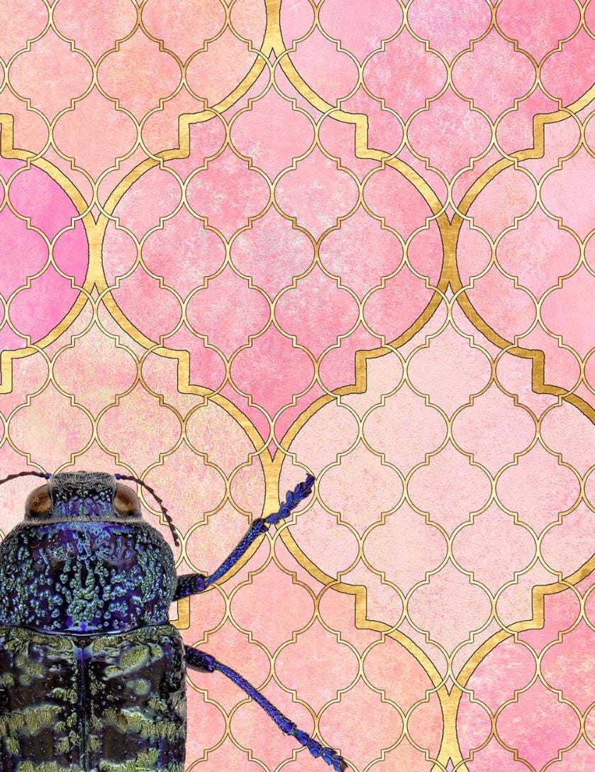 Dragonfly Art Print: Insect Poster, Pink Gallery Wall Art