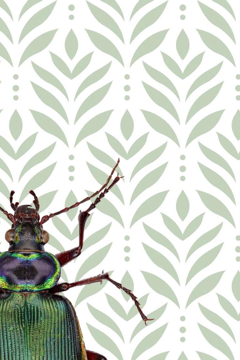 Beetle Print: Green Insect Poster, Botanical Wall Art