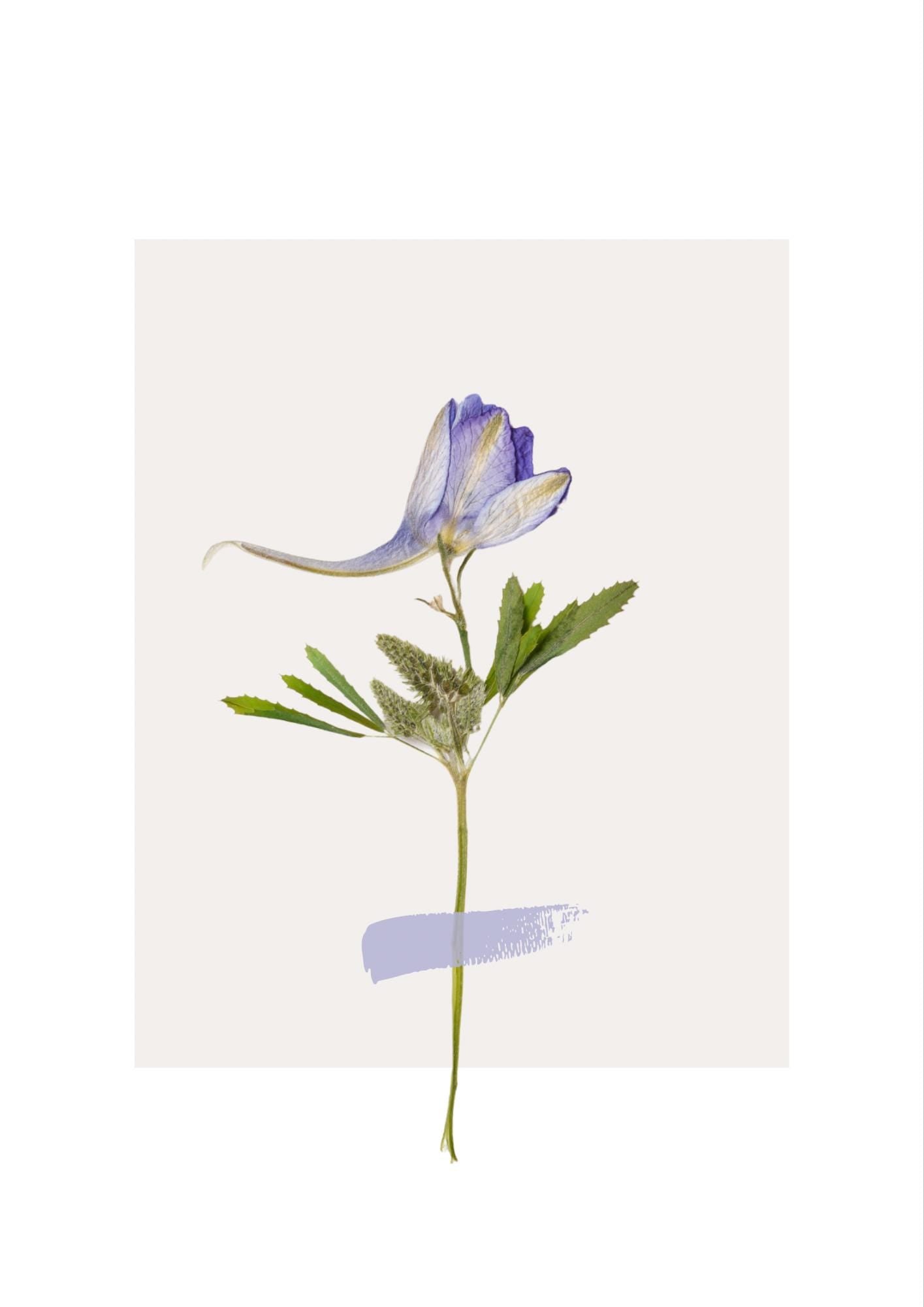 White & Cream Flower Print: Vintage Floral Wall Art