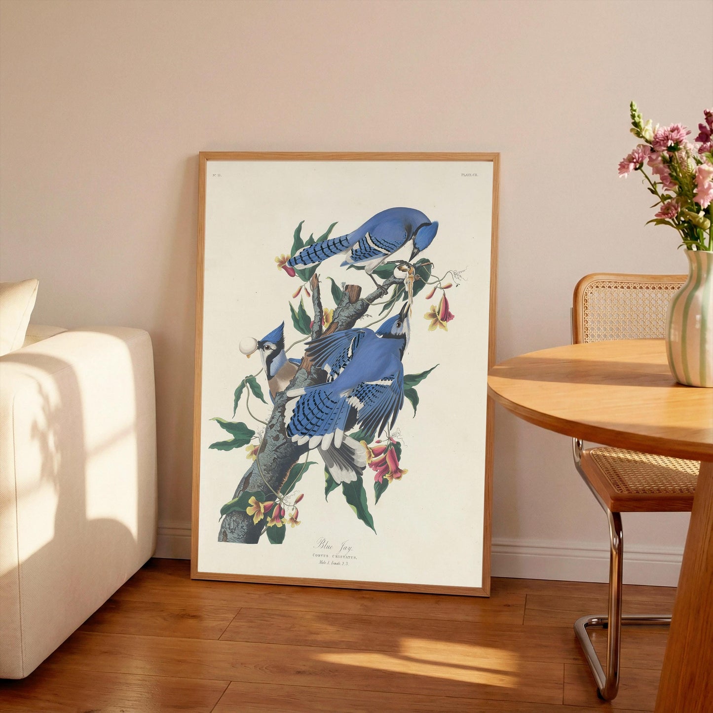 John James Audubon- Blue Jay | Vintage Art | Wall Art | Housewarming | Present | Gift | Giclee