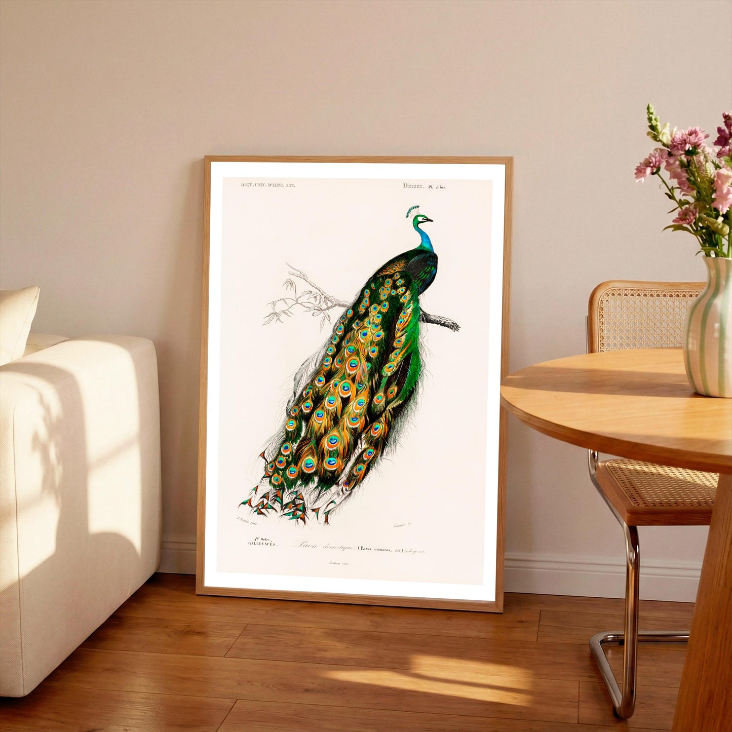 Peafowl Print: Vintage Animal Drawing, Wildlife Wall Art