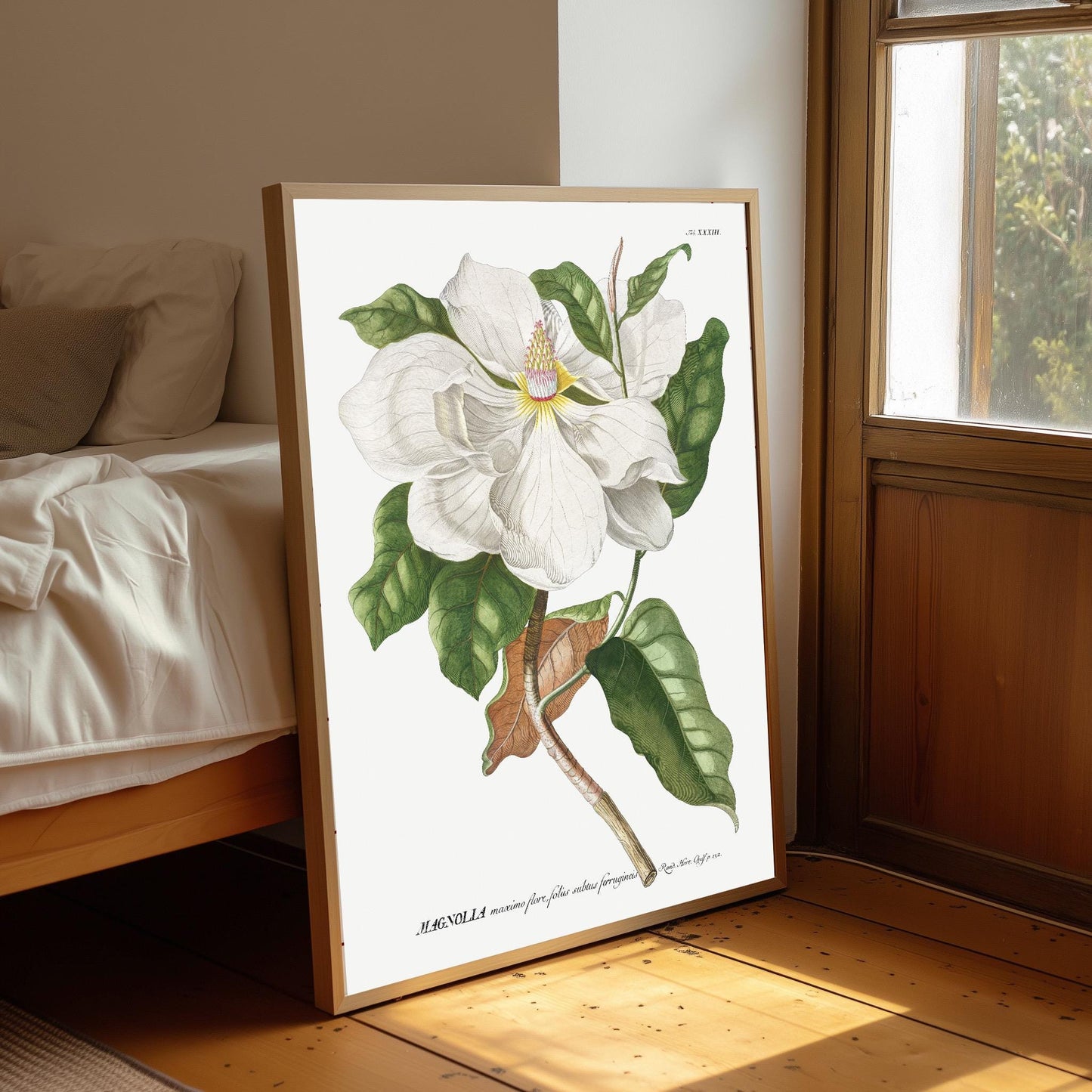 Vintage Magnolia Art Print: Botanical Floral Wall Art Poster