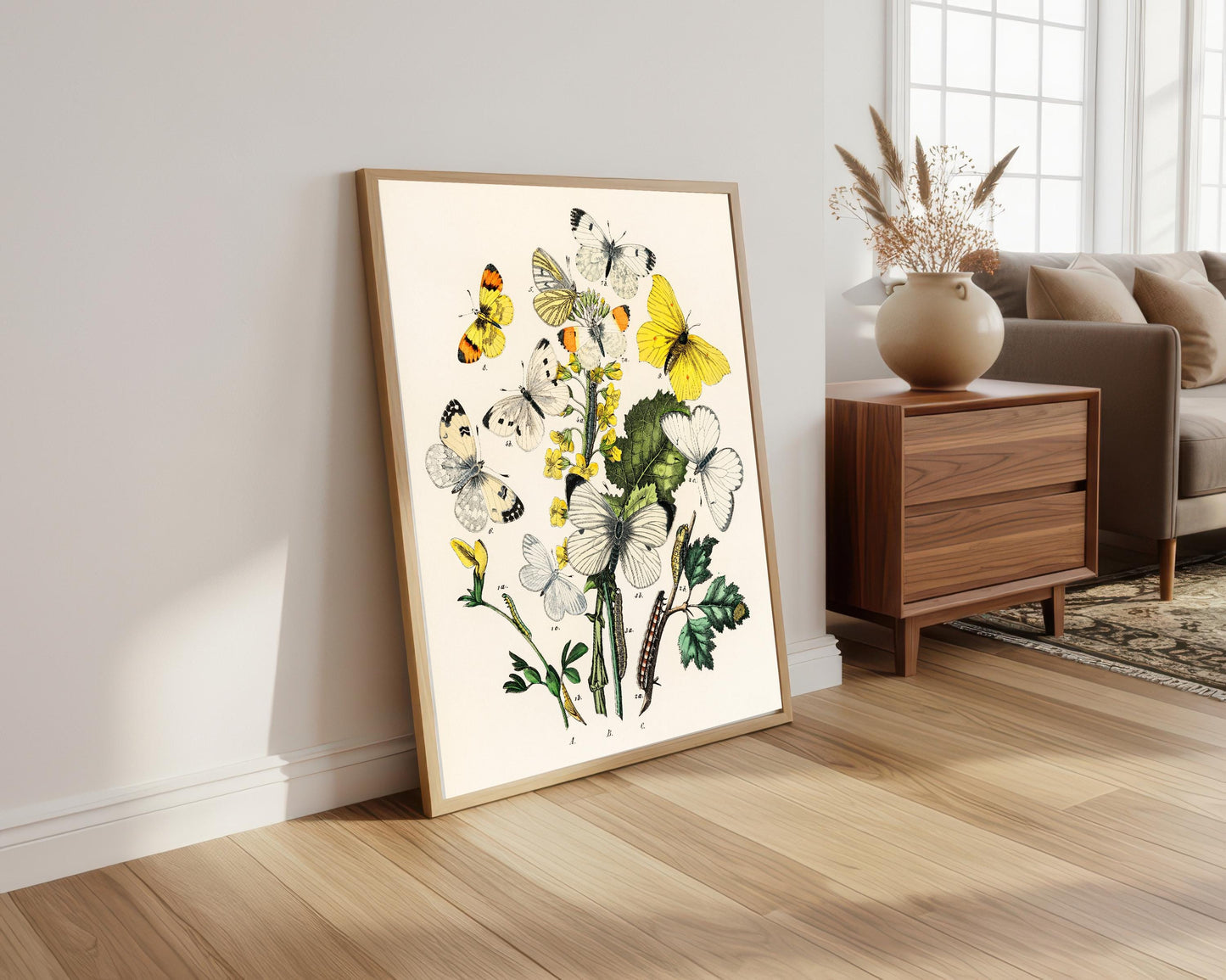 Butterflies and Moths Vintage Print: Natural History Wall Art