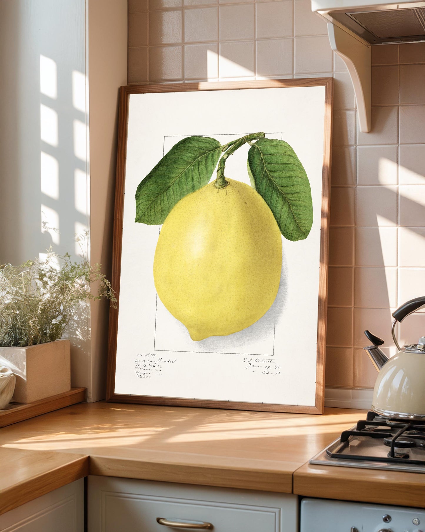 Vintage Lemon Print: A A Newton, Kitchen Wall Art