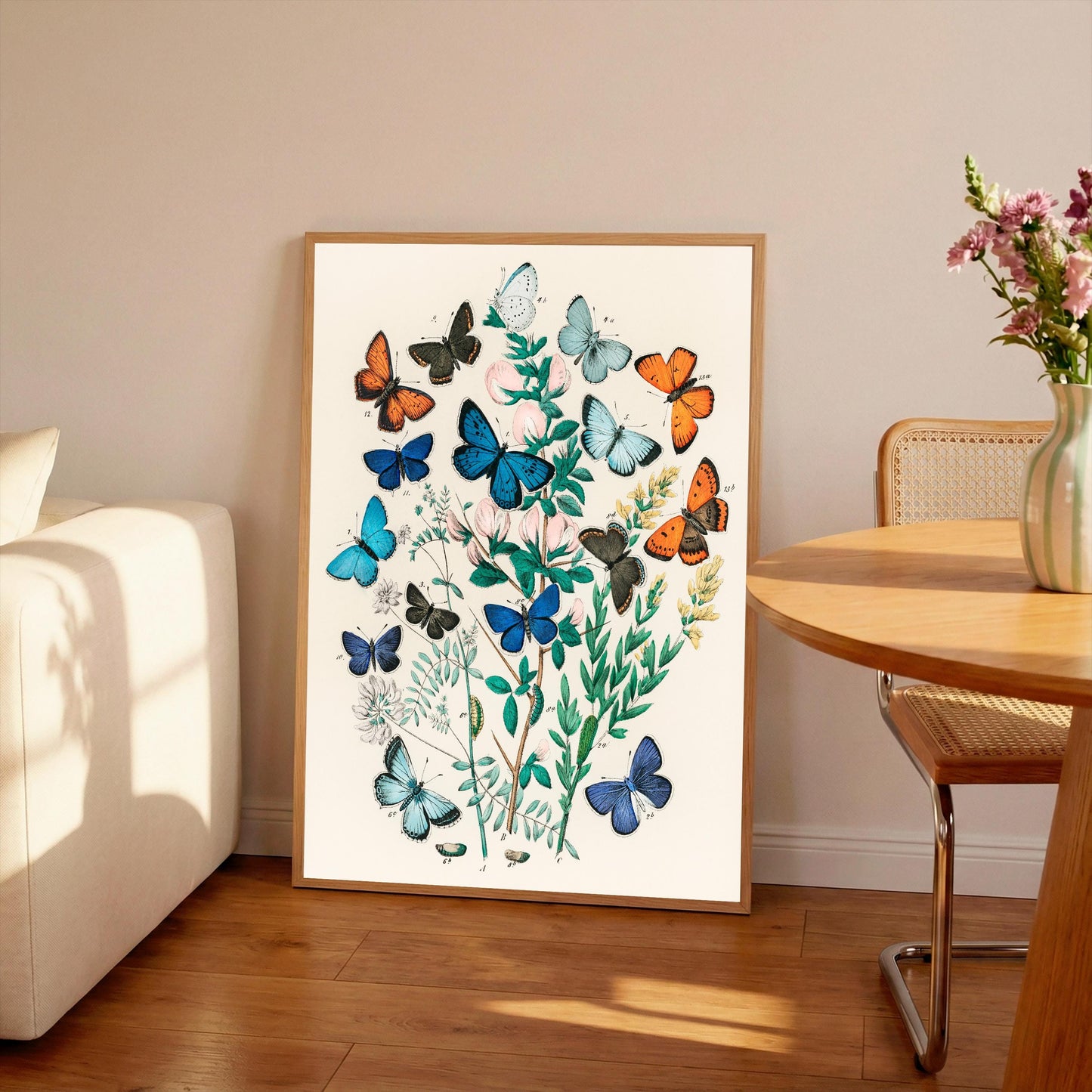 Vintage Butterfly & Moth Print: William Forsell Kirby Natural History Art