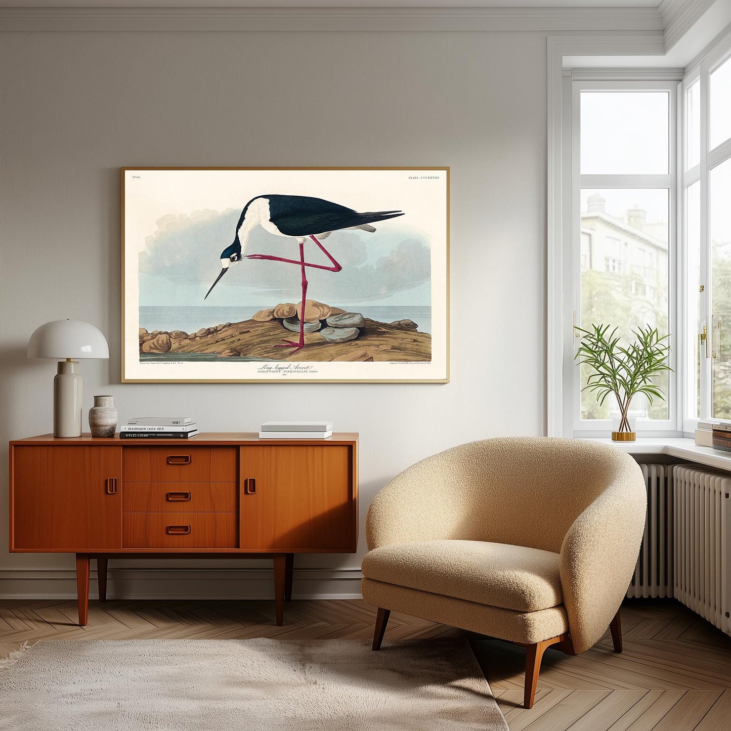 Audubon Long-Legged Avocet Print: Vintage Bird Illustration