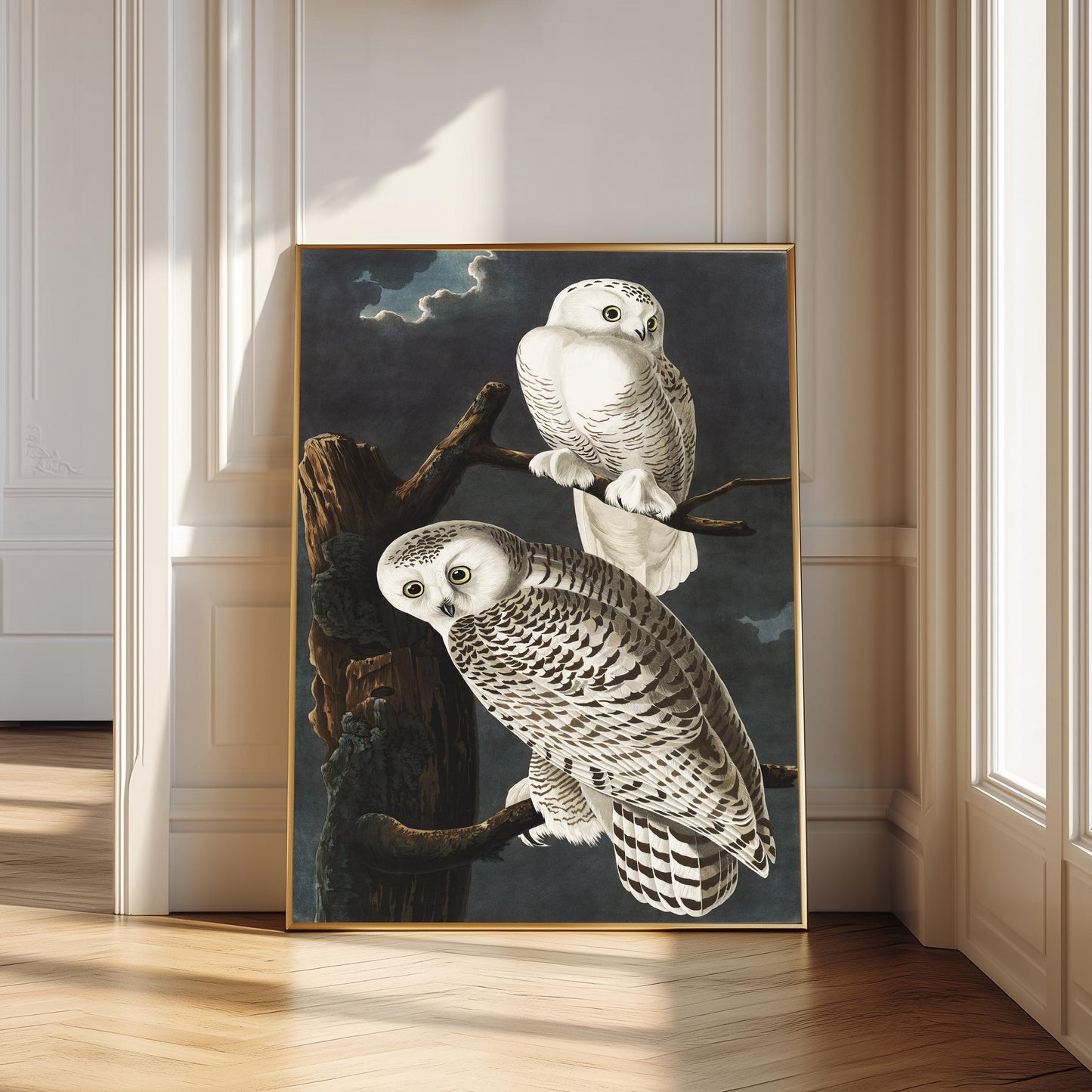 Audubon Owl Print: Vintage Bird Illustration, Naturalist Wall Art