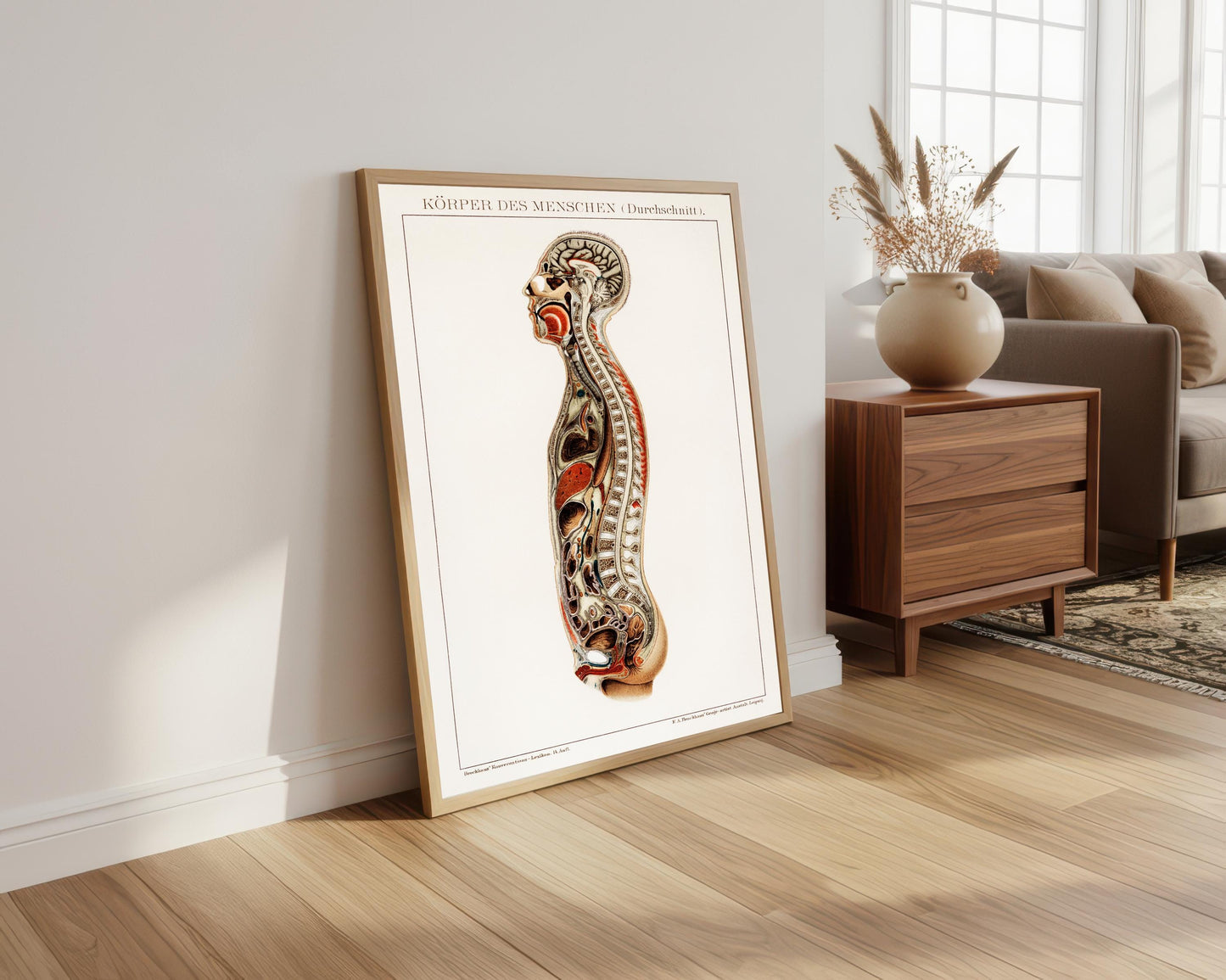 Korpers Des Menschen (1898) - Vintage Lithograph of the Anatomy of Man