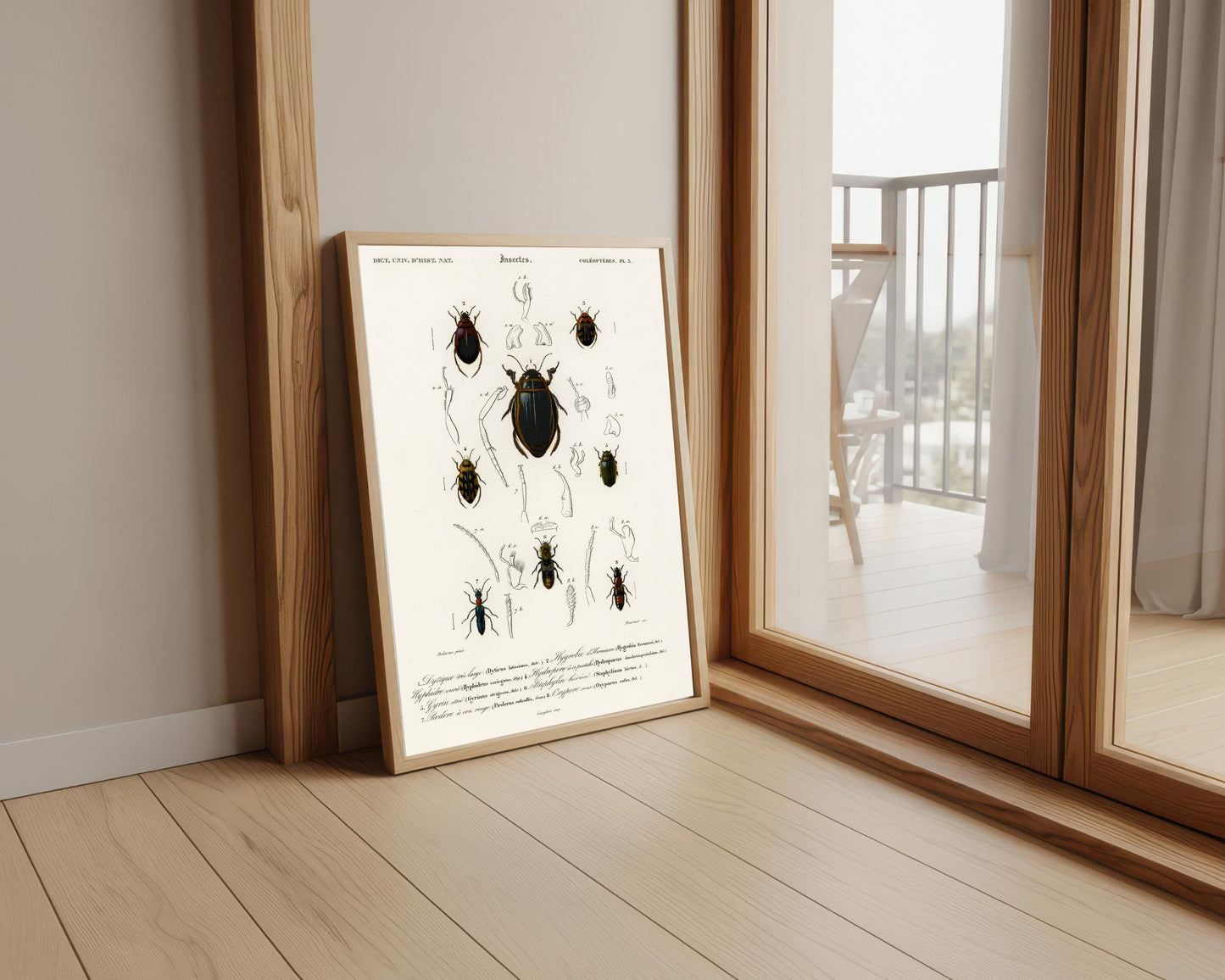 Vintage Beetle Print: Entomological Gallery Wall Art