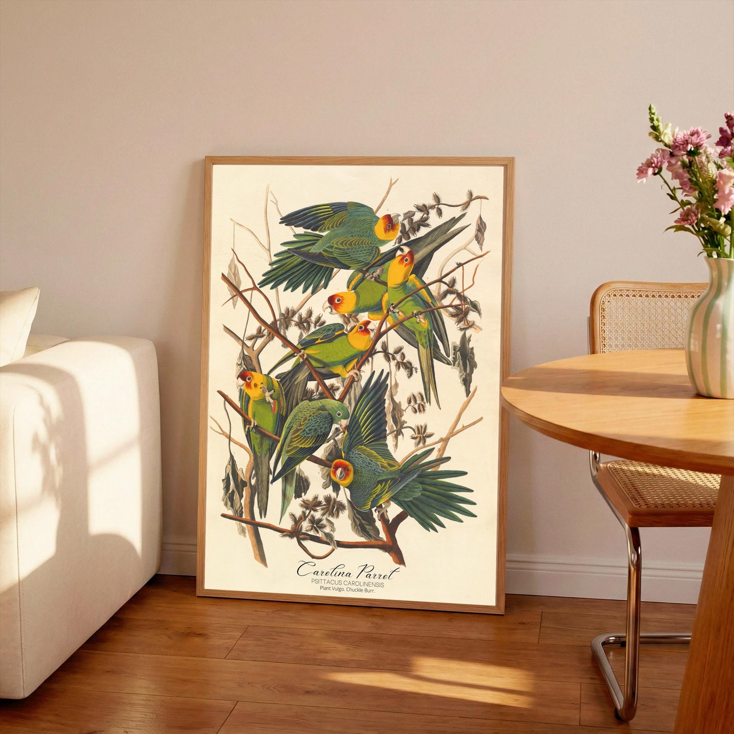 John James Audubon- Carolina Parrot | Vintage Art | Wall Art | Housewarming | Present | Gift | Giclee