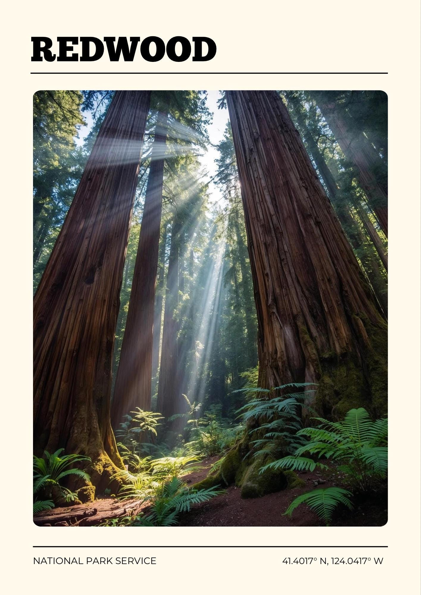Redwood National Park Poster: Vintage-Style Satin Art Print